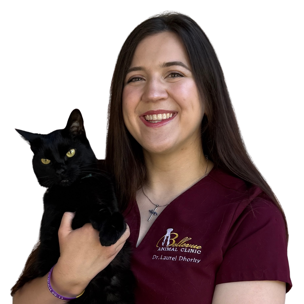 Dr. Laurel Dhority